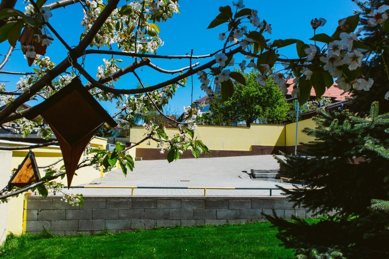 Hotel Pensiunea Imperial Târgu-Mureş Esterno foto